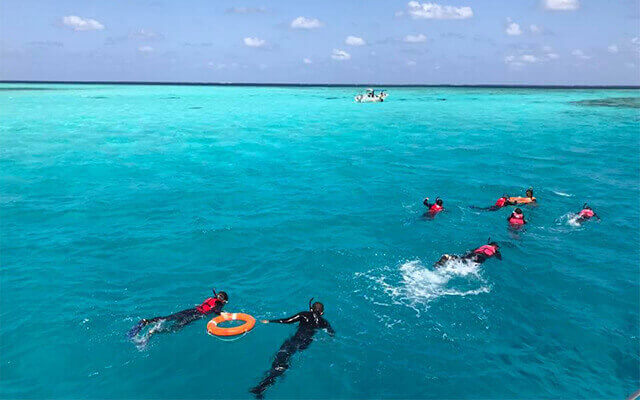 シュノーケリングトリップ