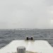 今日の宮古島の天気＆八重干瀬の海況とツアー開催状況　2024年 6月 9日（日）