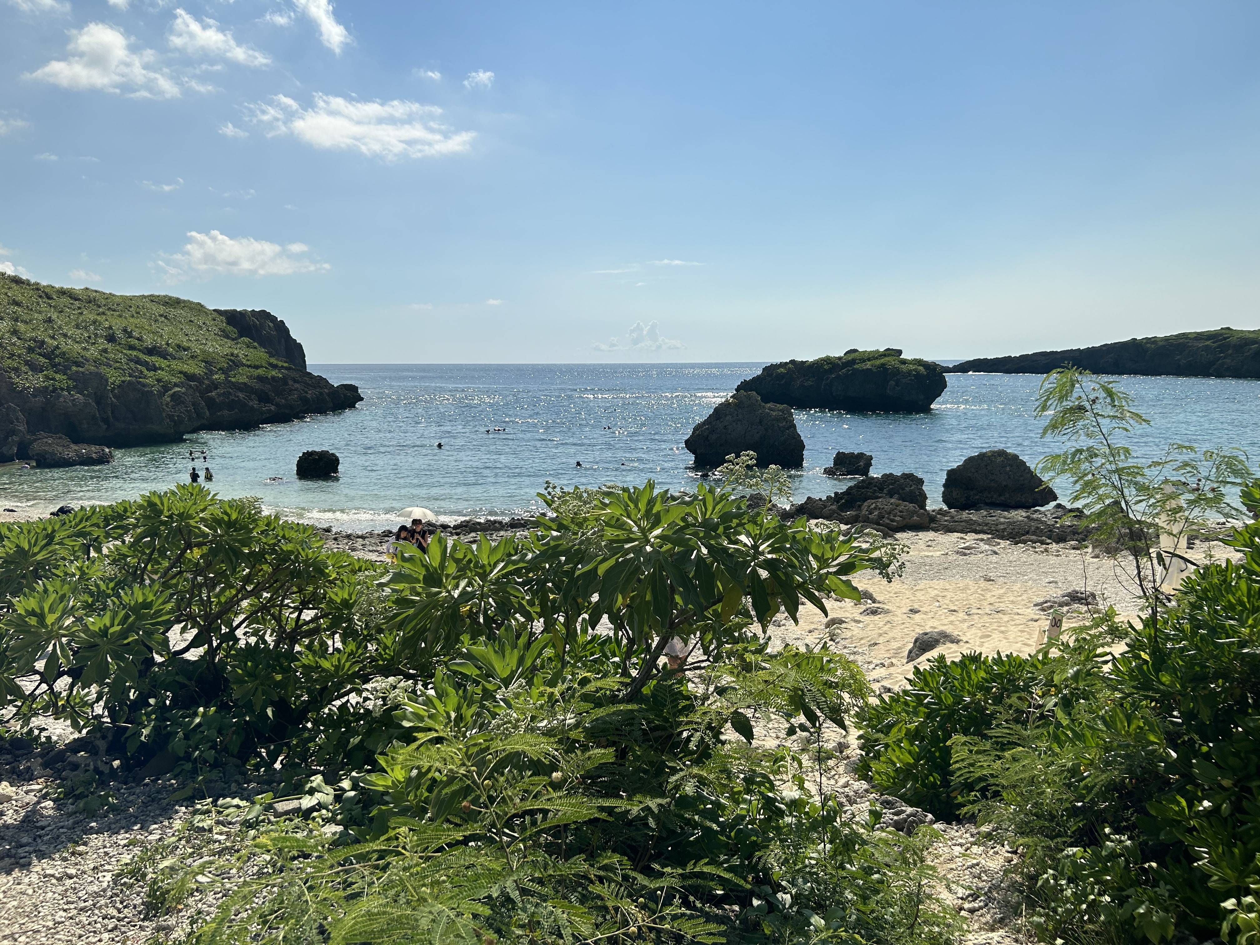 中の島