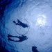 透明度抜群の海中世界♪