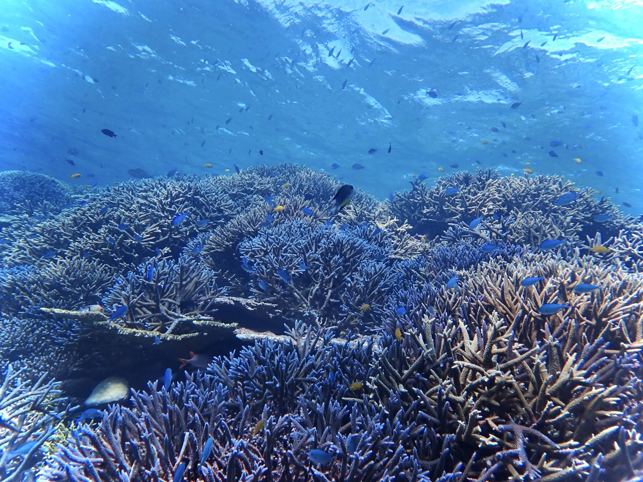 📸♡知って得する！曇りでも海を綺麗に撮る方法♡📸 | 【宮古島】八重