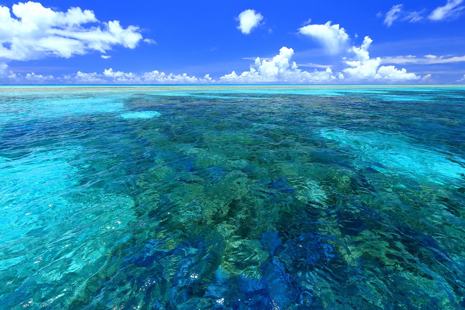 Ａ八重干瀬シュノーケルトリップ（2～3ポイント案内）