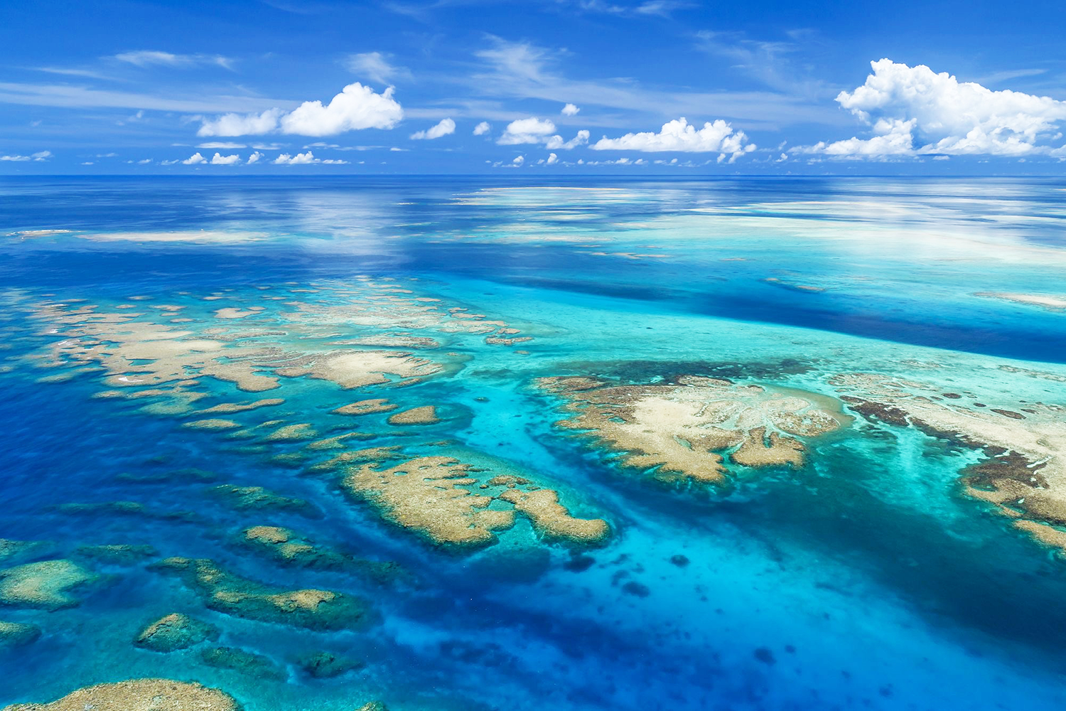 八重干瀬クルージングツアー（2～3ポイント案内）